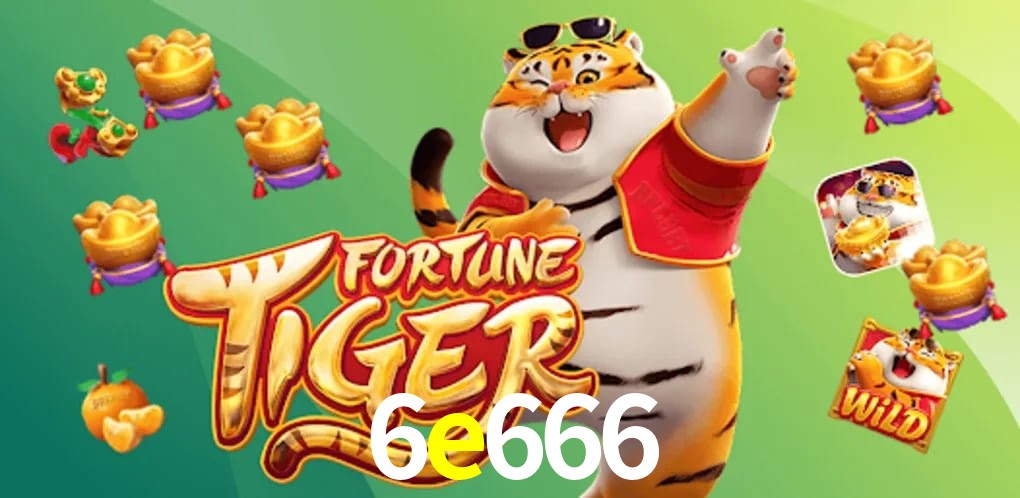 Experiência VIP 6e666